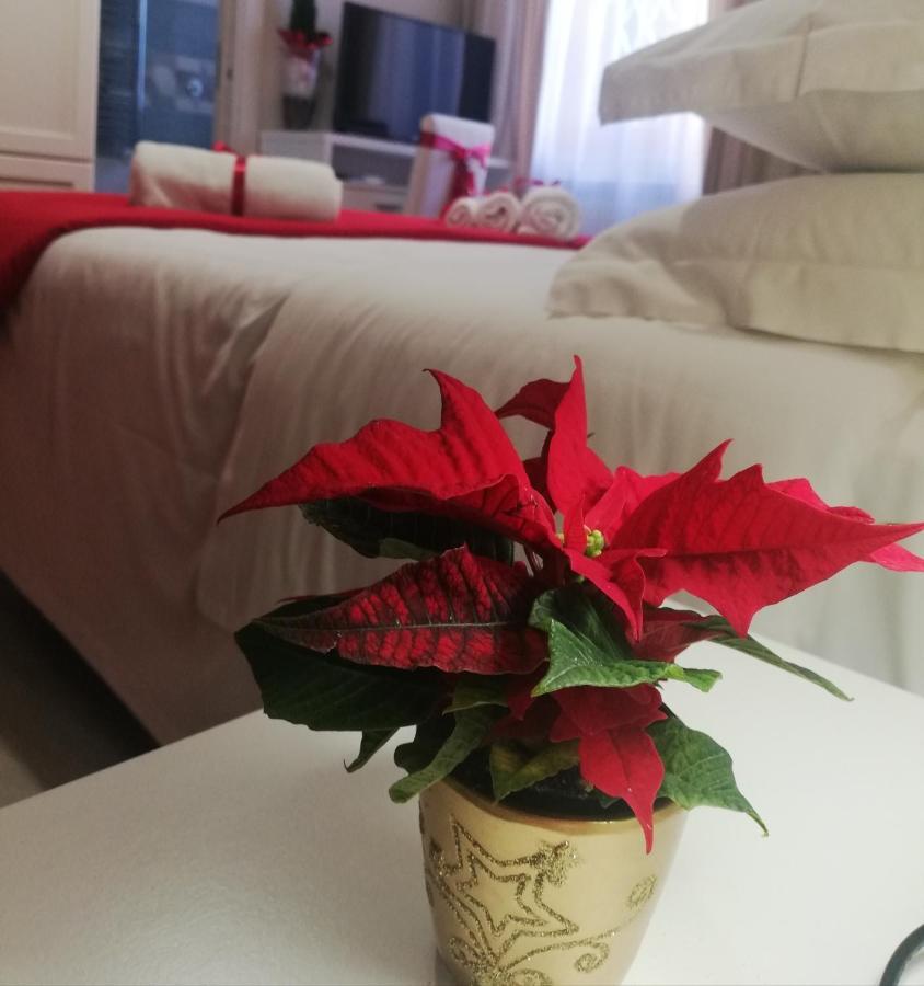 カゼルタ L' Albero Di Giada Bed & Breakfast エクステリア 写真