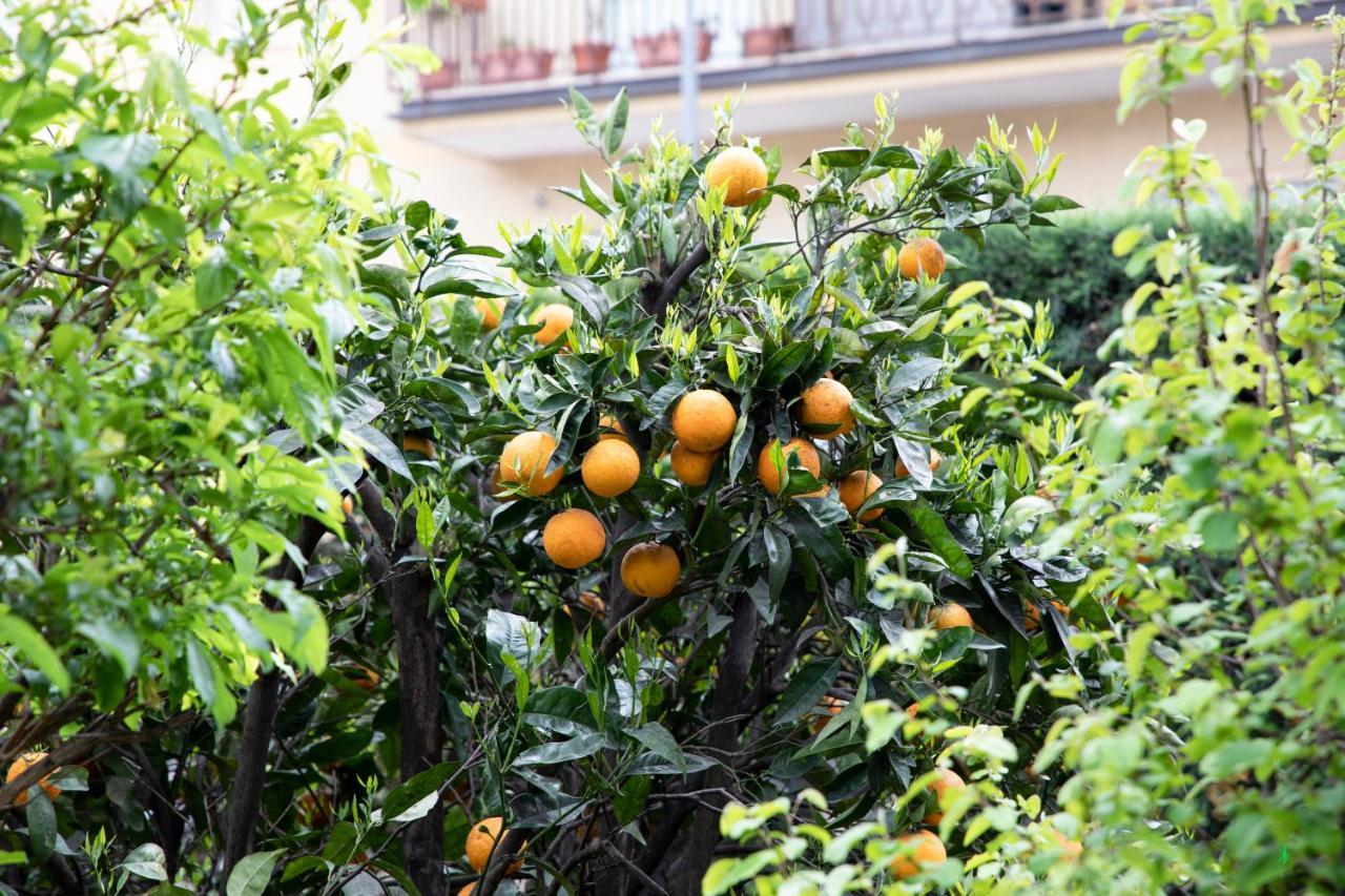 カゼルタ L' Albero Di Giada Bed & Breakfast エクステリア 写真
