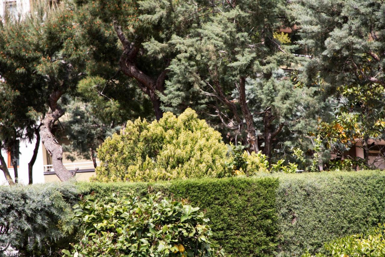 カゼルタ L' Albero Di Giada Bed & Breakfast エクステリア 写真